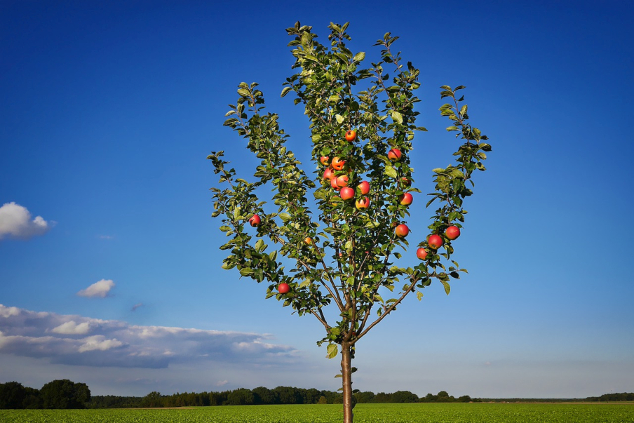 Meteostanica - čaká nás pekný deň foto: pixabay