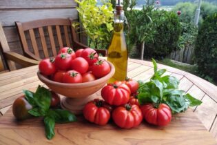 Červené rajčiny s bazalkou z vlastnej záhrady sú položené vonku na záhradnom stole