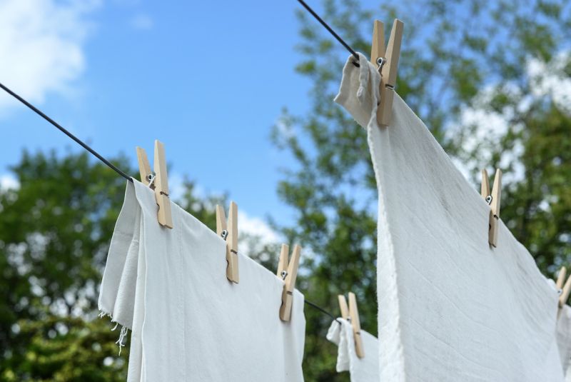 Čistá a voňavá foto: pixabay