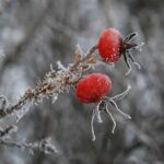 Termofľaša a termovak - vyzbrojte sa na zimu