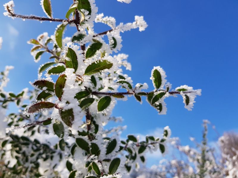 Na zimu sa treba dobre pripraviť foto: pixabay