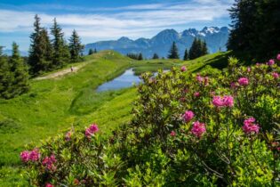 Voda vyvrela z hlbín francúzskych Álp foto: shutterstock