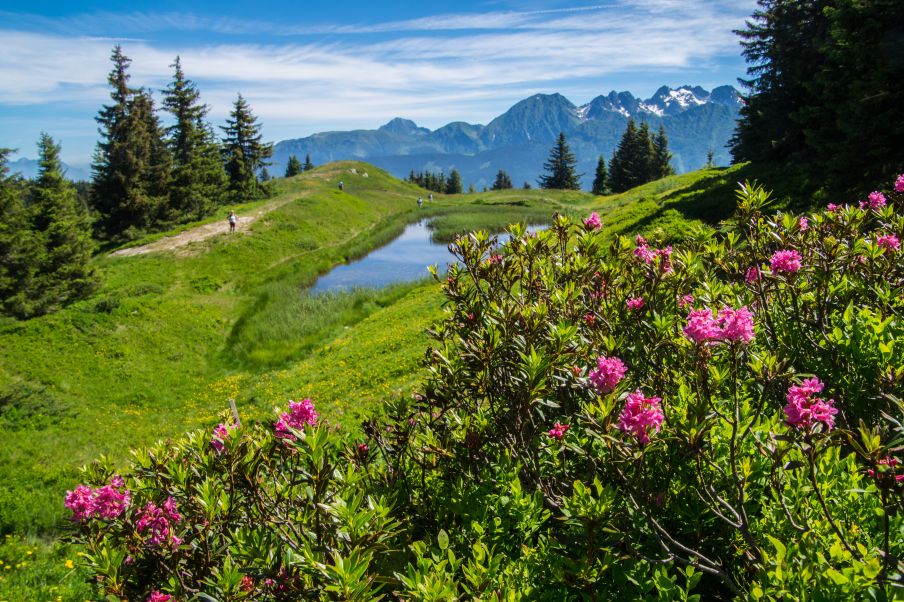 Voda vyvrela z hlbín francúzskych Álp foto: shutterstock