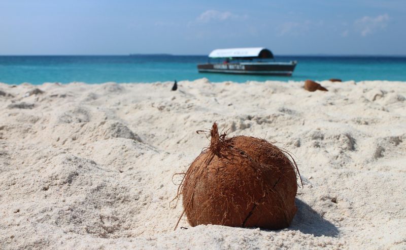 V peelingu cítiť kokosovú vôňu a exotiku foto: pixabay