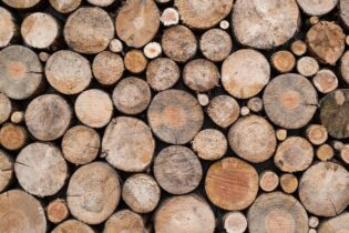 Ekologické podlahy z dreva foto pixabay