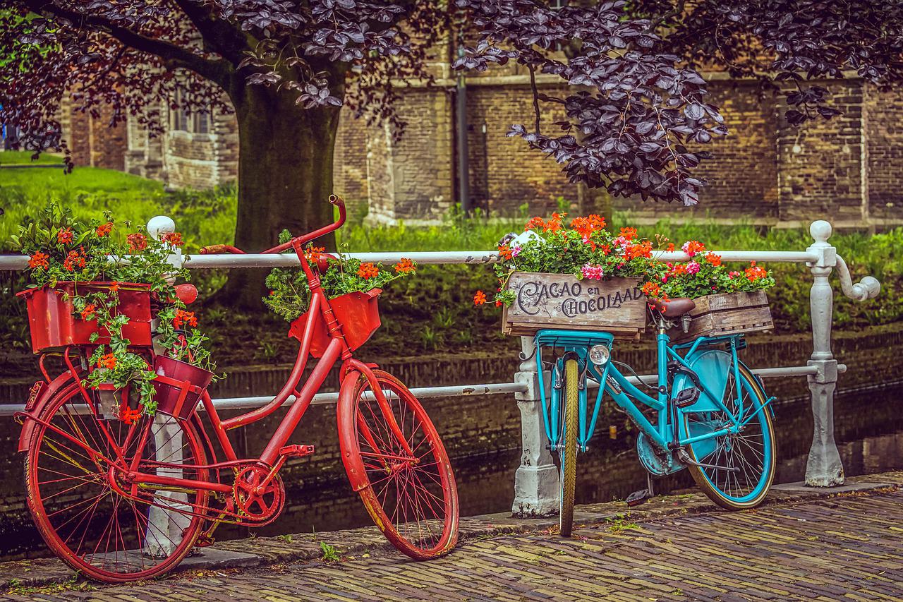 Červený a modrý bicykel slúžia v exteriéri ako nápadité stojany na kvety