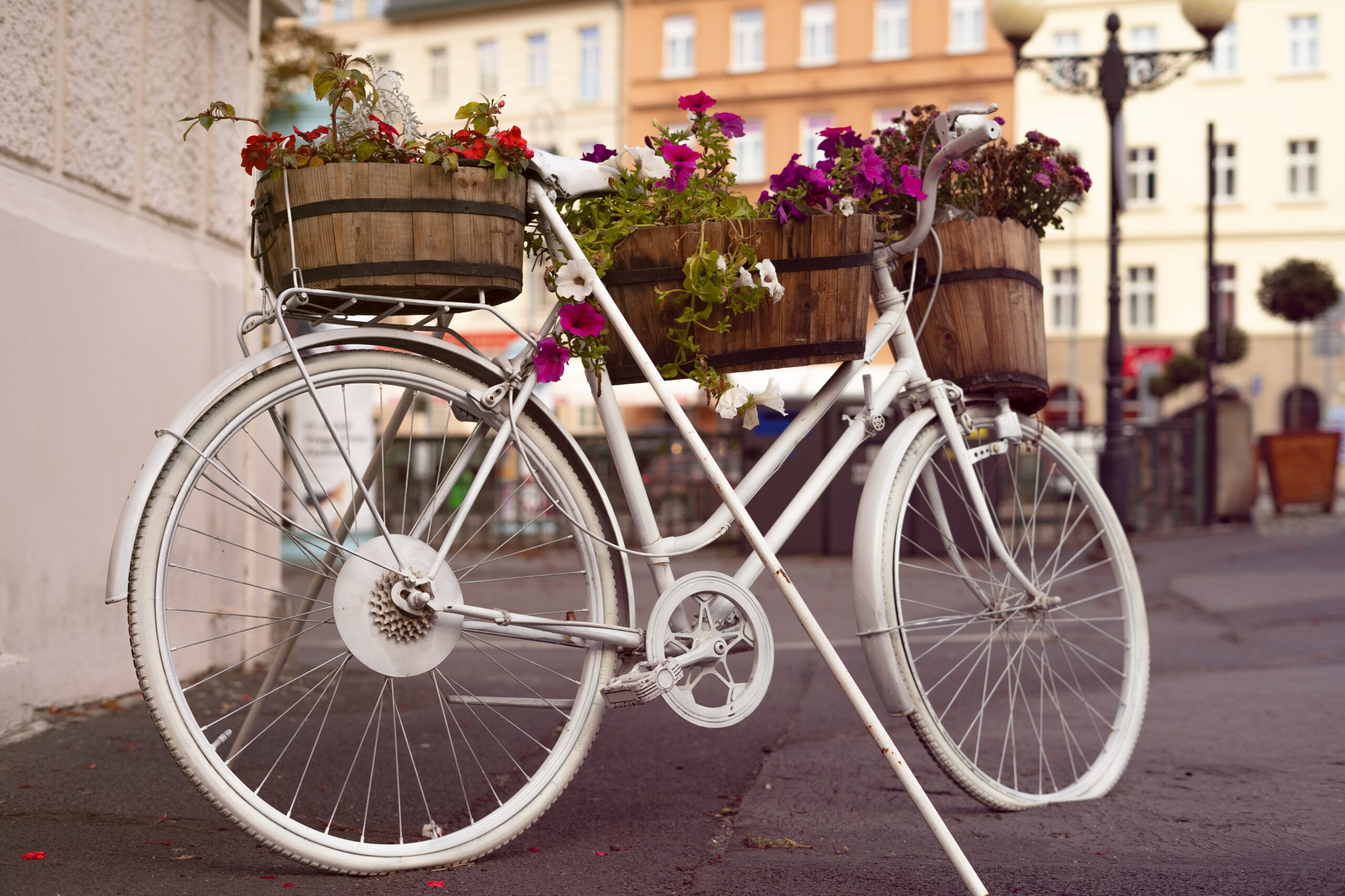 Retro stojan na muškáty v podobe starého bieleho bicykla