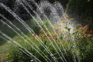Rastliny v lete potrebujú závlahu - osviežujúce pramene vody